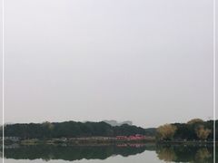 -昆山城市生态森林公园