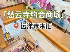 -远洋未来汇