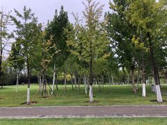 -北坞公园