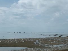 -北海金海湾红树林生态旅游区