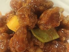 -金龙寨(龙城路店)