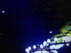 -星巴克(威尼斯人店)