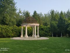 -合肥滨湖国家森林公园