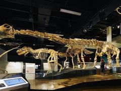 -墨尔本博物馆(Melbourne Museum)