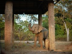 -清迈夜间动物园