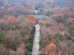 -灵谷景区