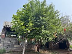 -春风习习