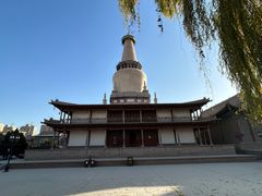 -张掖大佛寺景区