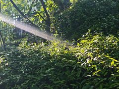 -北极阁公园