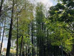 -四海公园(南山区)