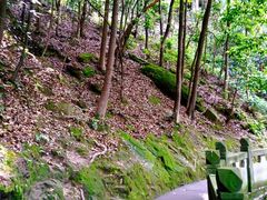 -道教老君洞