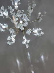 -U3美甲