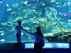 -海合安武汉极地海洋公园