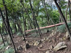 -紫金山山顶公园