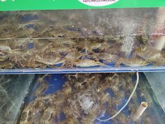 -阳澄湖大闸蟹·琼灵阁牌品牌连锁(吴中总店)