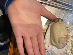 -蚝堡海鲜·威海菜·海肠捞饭·烧烤·亚洲吃蚝公司(幸福门店)