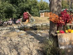 -HERRE·FARM 赫尔露营农场·团建聚会包场