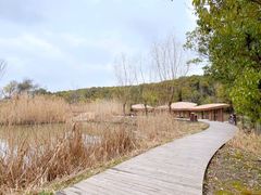 -同里国家湿地公园
