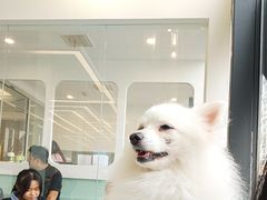 -怪兽屋·羊驼·猫咖·狗咖(俊华广场店)