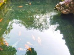 -忆秦园小笼包(惠山古镇总店)