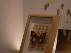 -溯洄咖啡VORTEX COFFEE