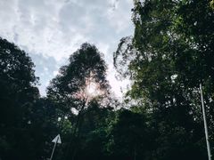 -火炉山森林公园
