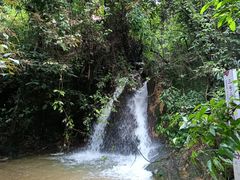 -南丹山森林王国