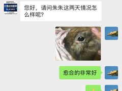 -立德动物医院·异宠·CT·鹦鹉(天河店)