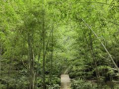 -杭州半山国家森林公园