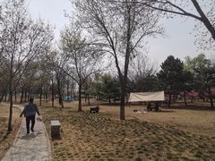 -绿堤公园