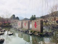 -香雪海