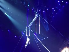 -珠海横琴长隆《卡卡虎奇遇记》