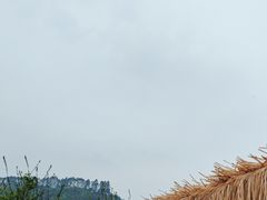 -玫瑰庄园·自助烧烤·烤全羊·团建拓展(龙泉山店)