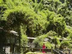 -三峡人家风景区