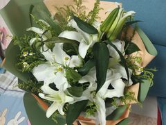 -小龙跃.羊蝎子火锅(凤凰北街店)