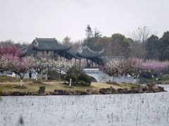 -上海海湾国家森林公园