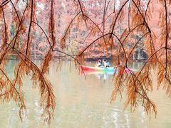 -上海海湾国家森林公园