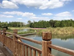 -溱湖国家湿地公园