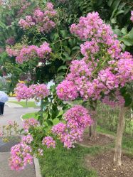 -北京科学中心儿童乐园