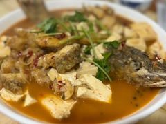 -煲来饱去冷水鱼