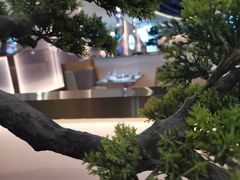 -马家斑.鲜鱼火锅(松湖万科店)