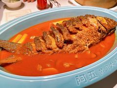 -阿五黄河大鲤鱼(纬三路店)