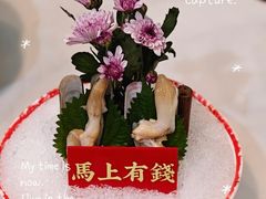 -喜聚薈·花膠雞海鮮火鍋(越秀店)