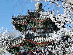 -颐和园