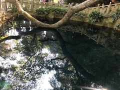 -蝴蝶泉公园
