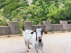 -白草畔自然风景区