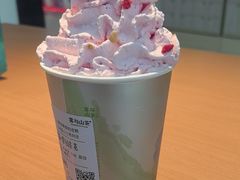 -雾与山茶(大禹城店)