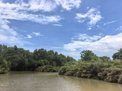-大湾区中央湿地公园