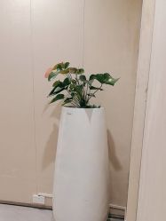 -Yestar重庆艺星医疗美容医院