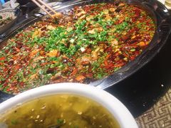 -正宗来凤鱼璧山兔(花卉园店)